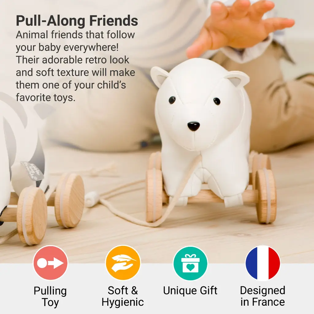 Pull Along Friends - Nathan the Polar Bear - Picture # 2.webp