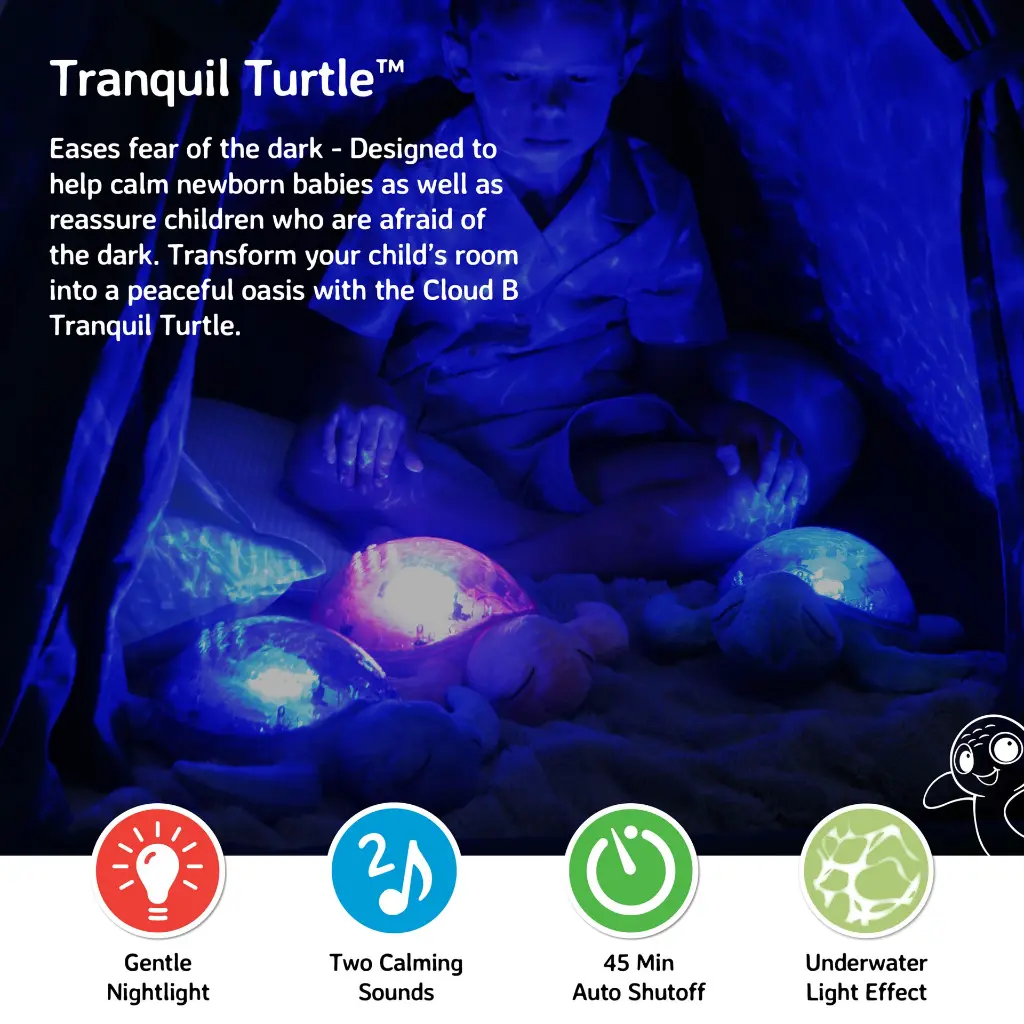 Tranquil Turtle Blue - Picture # 2.webp