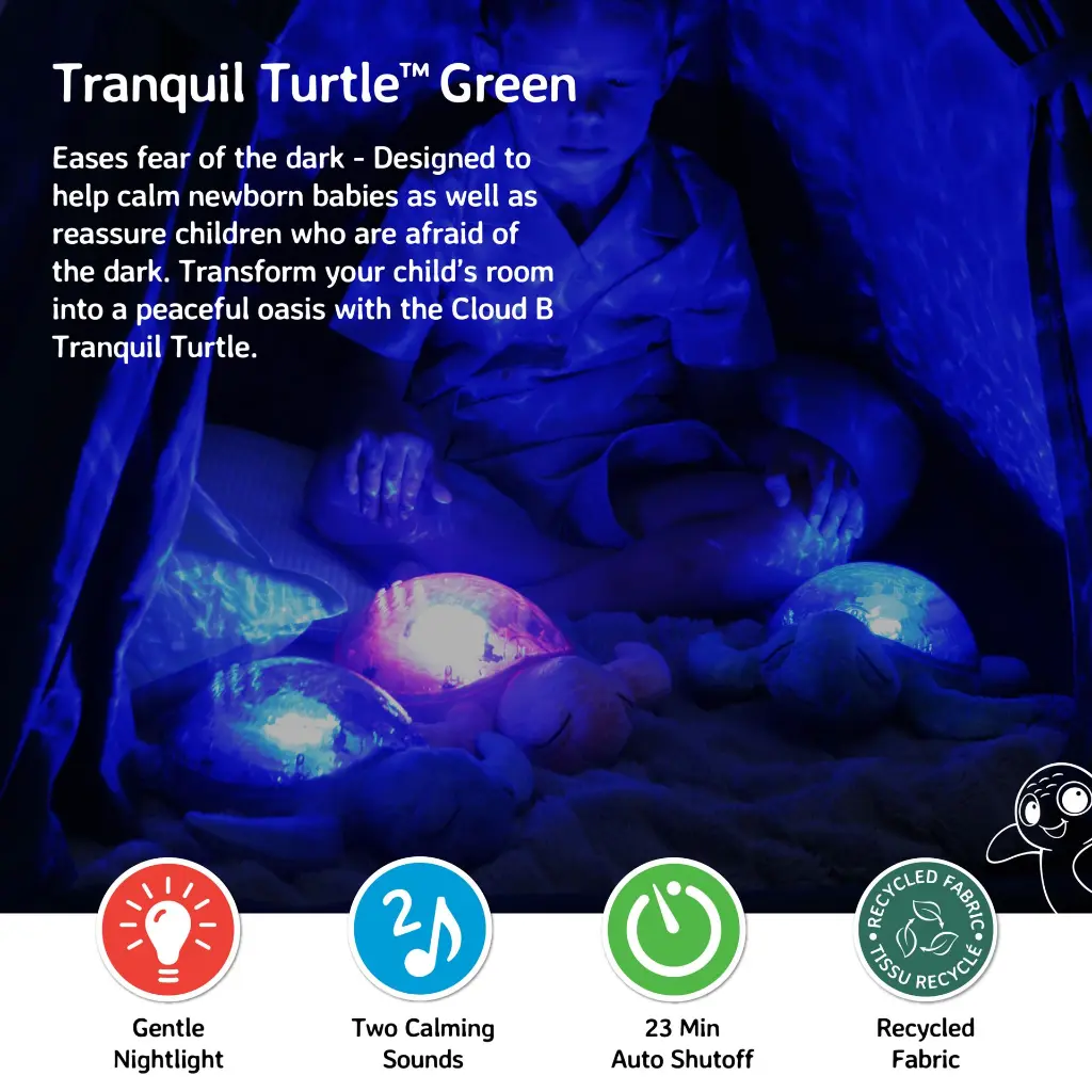 Tranquil Turtle Green- Picture # 2.webp