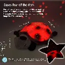 Twilight Ladybug® -  Classic - Picture # 5.webp