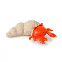 Brigitte the Hermit Crab - Picture # 3.webp