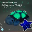 Twilight Turtle® - Blue - Picture # 5.webp