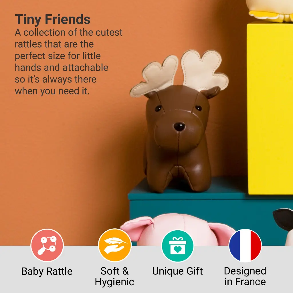 2_LBF_Bruce_The_Moose_Hero2.webp