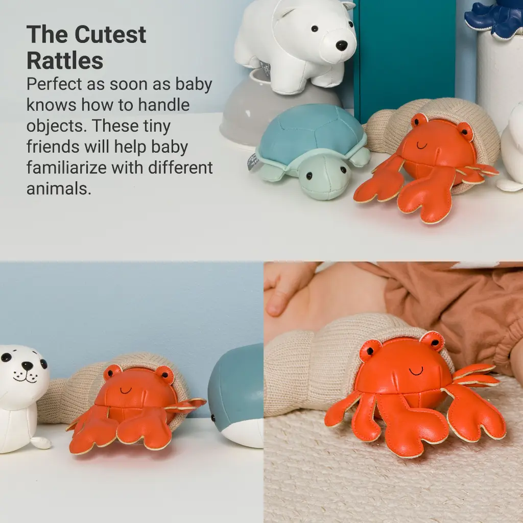 3_LBF_Brigitte_The_Hermit_Crab_Hero3.webp