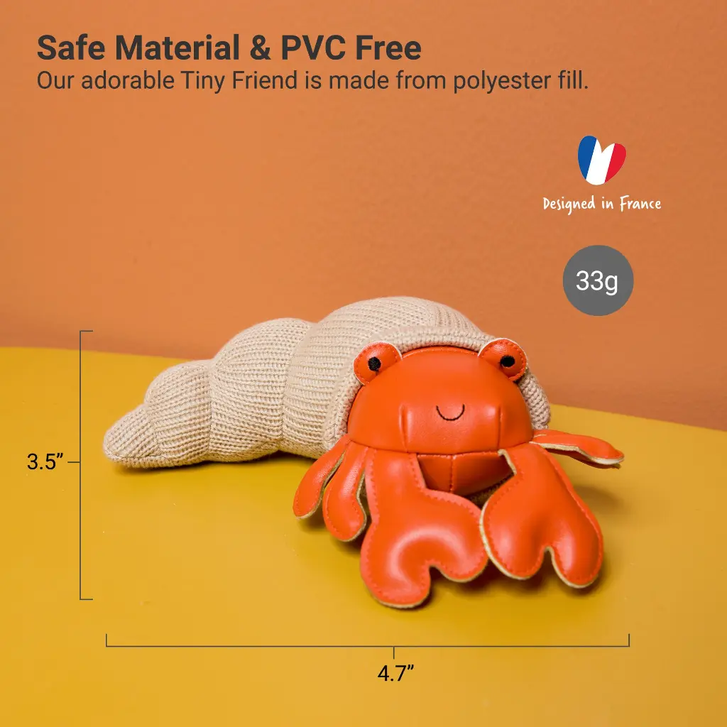 4_LBF_Brigitte_The_Hermit_Crab_Hero4.webp