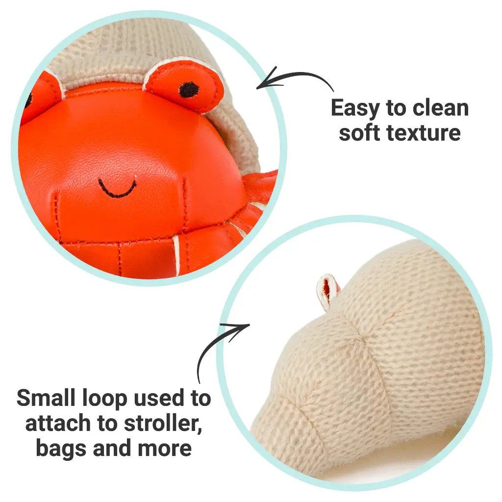 5_LBF_Brigitte_The_Hermit_Crab_Hero5.webp
