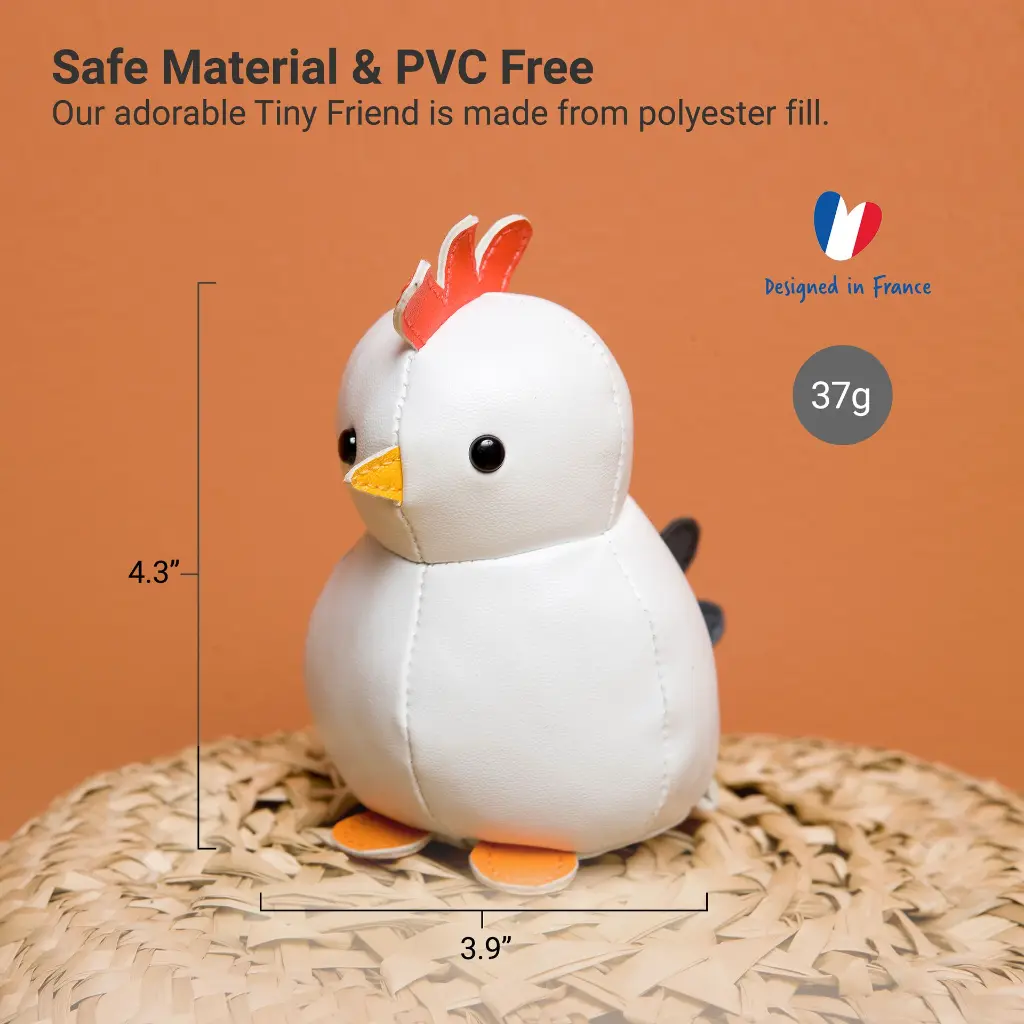 4_LBF_Paulette_The_Hen_Hero4.webp
