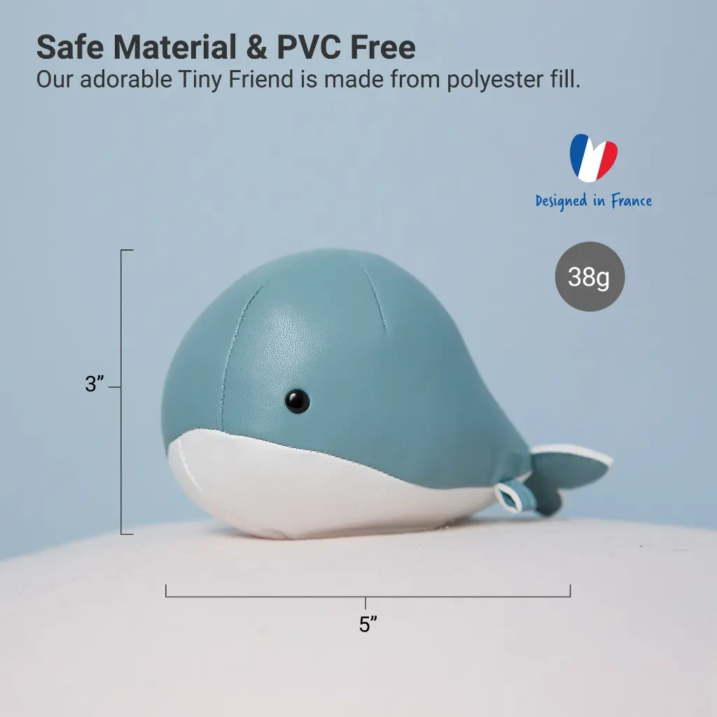 4_LBF_Madeline_The_Whale_Hero4.webp