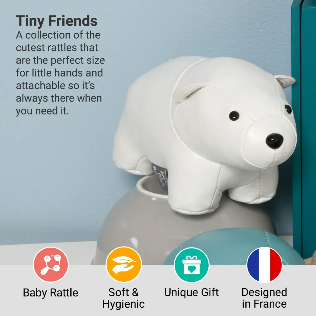 2_LBF_Nathan_The_Polar_Bear_Hero2.webp