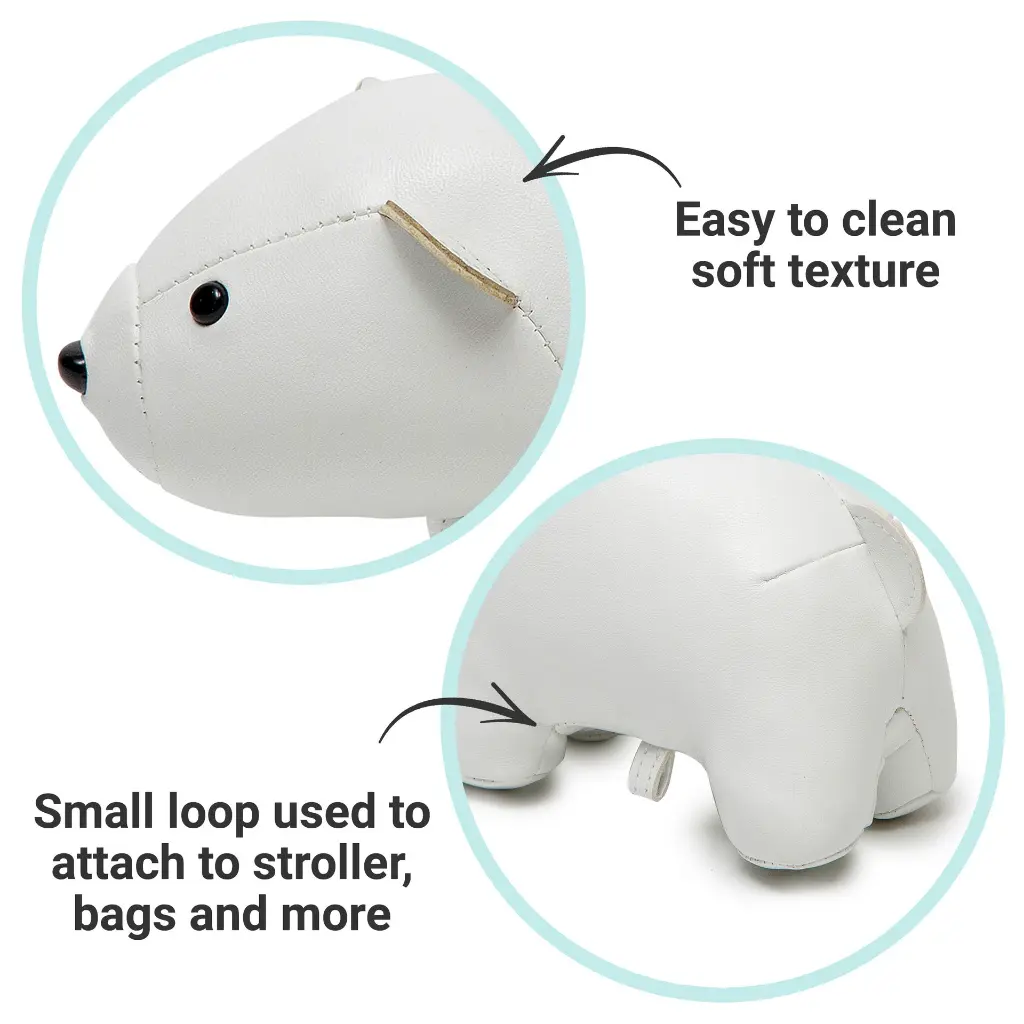 5_LBF_Nathan_The_Polar_Bear_Hero5.webp