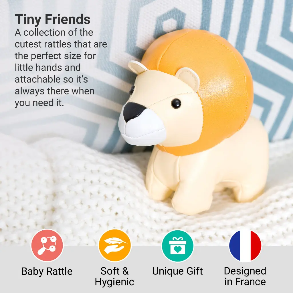 2_LBF_Jackson_The_Lion_Hero2.webp