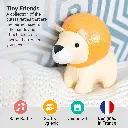 2_LBF_Jackson_The_Lion_Hero2.webp