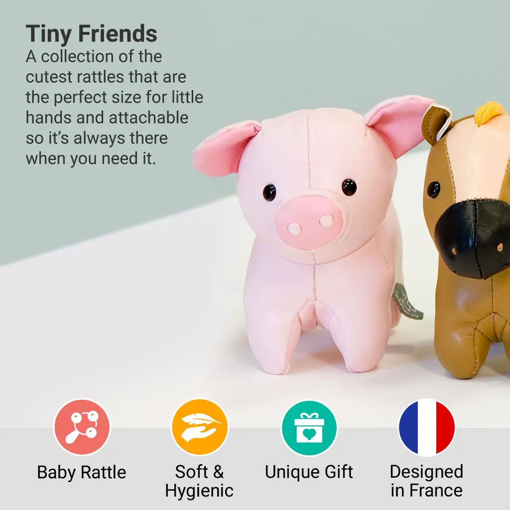 2_LBF_Leon_The_Pig_Hero2.webp