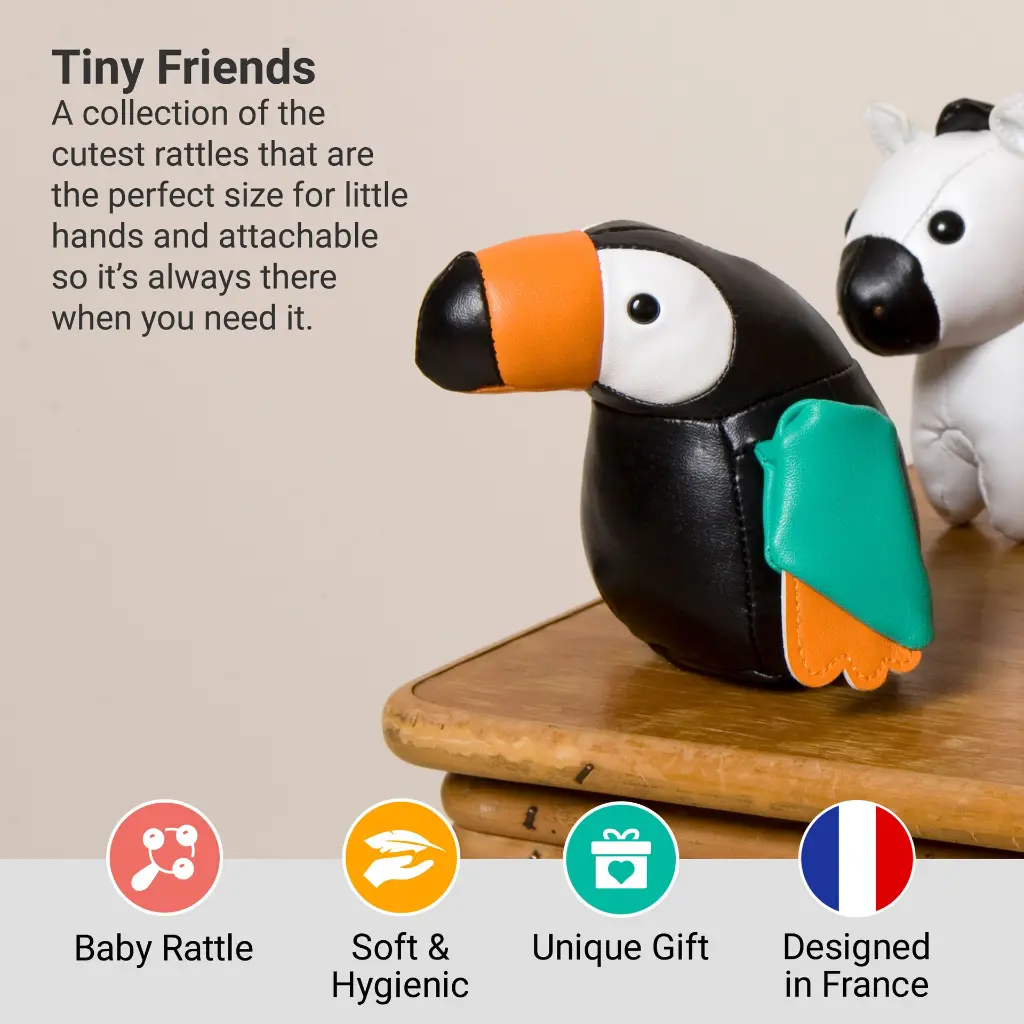 2_LBF_Jean_The_Toucan_Hero2.webp