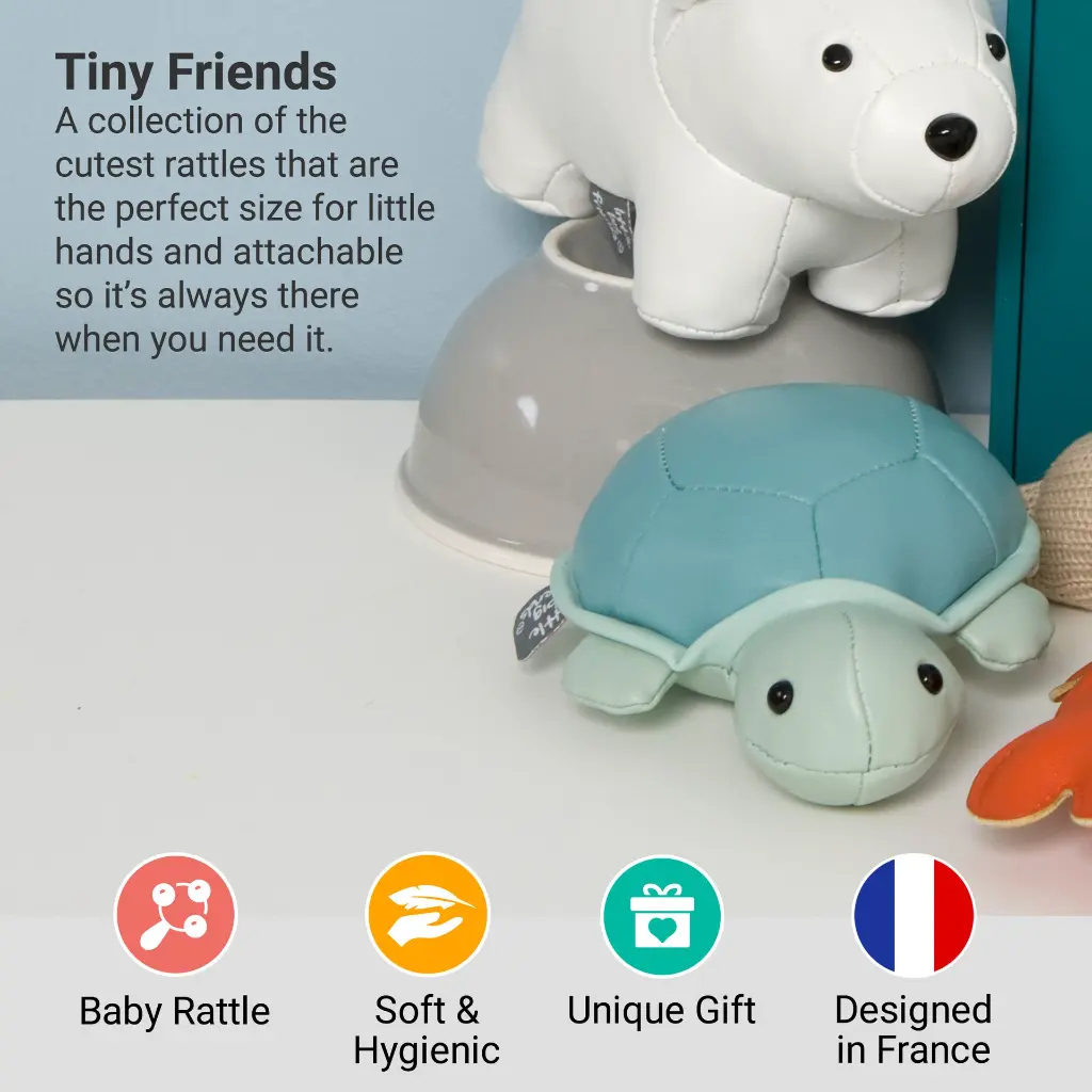 2_LBF_Emile_The_Turtle_Hero2.webp
