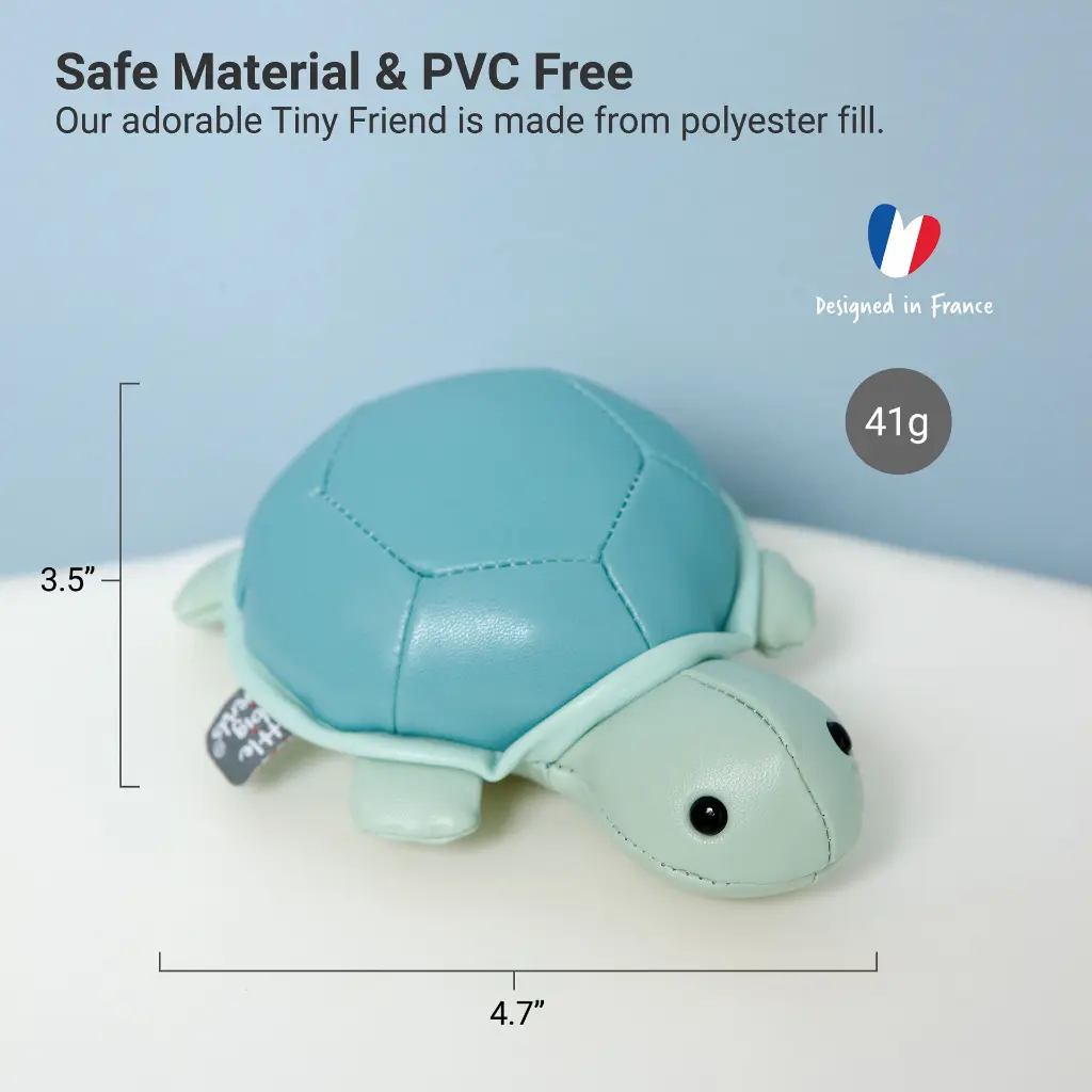 4_LBF_Emile_The_Turtle_Hero4.webp