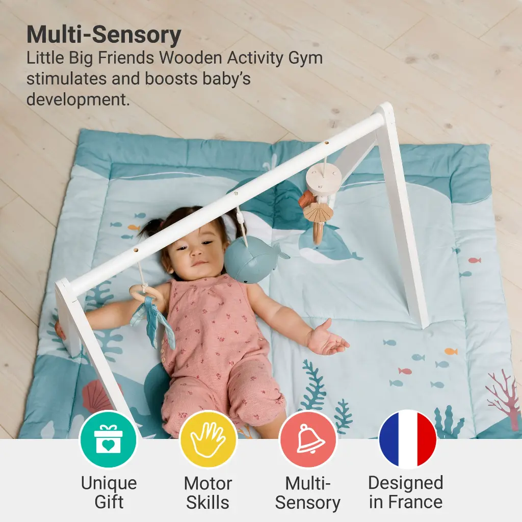 2_LBF_Wood_Activity_Gym_Ocean_Hero2.webp