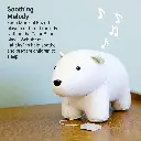 Nathan the Polar Bear - Picture # 5.webp