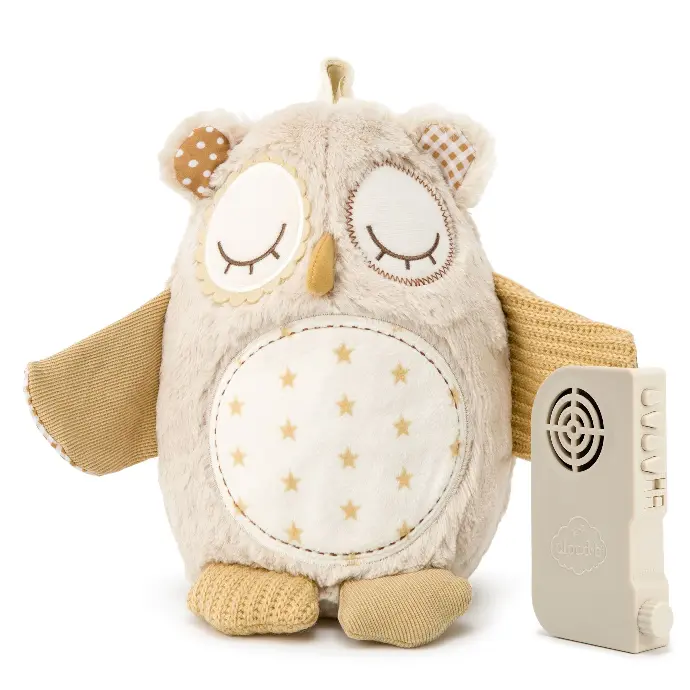 Nighty Night Owl Smart Sensor