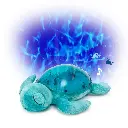 Tranquil Turtle - Aqua